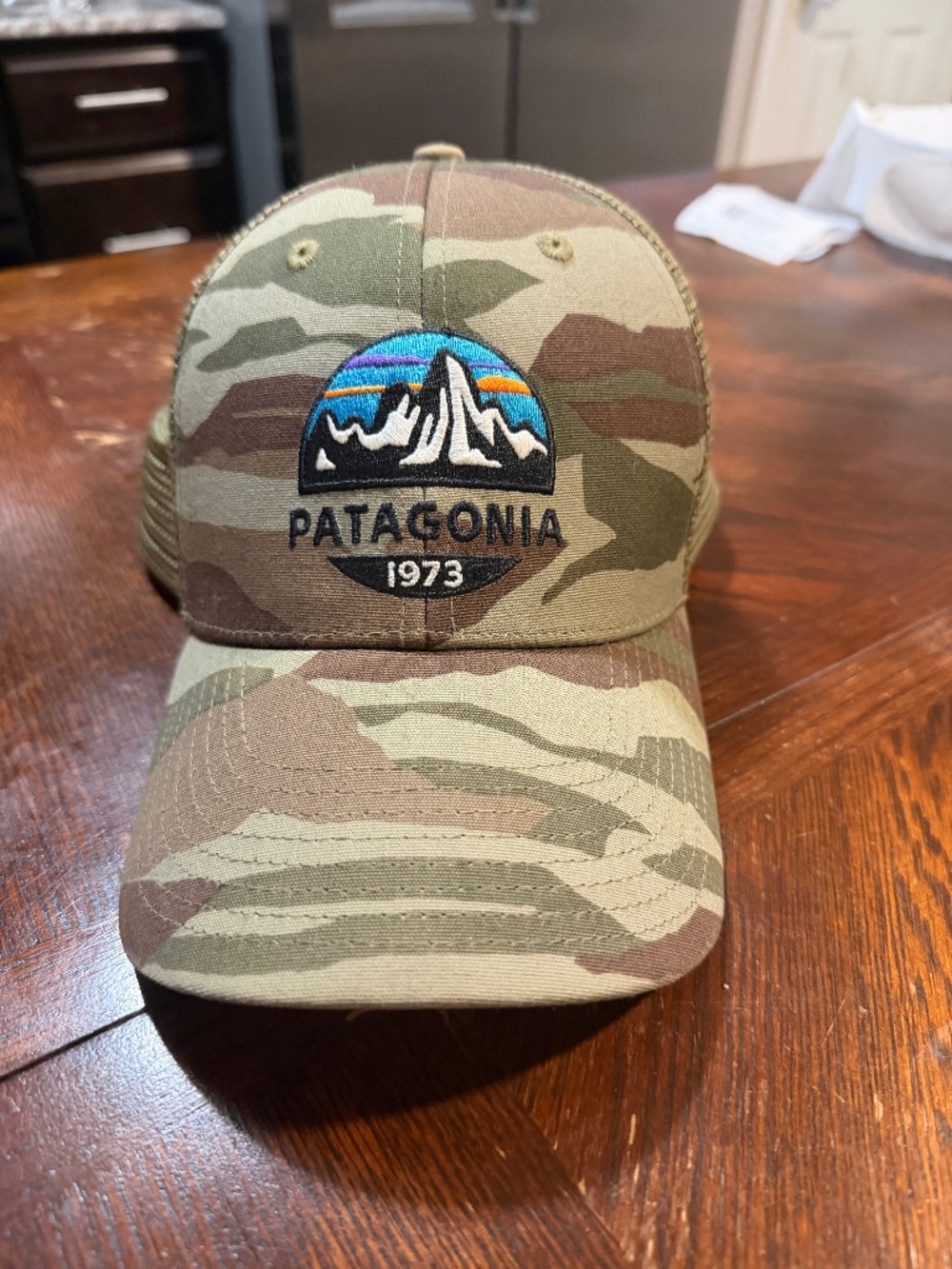Patagonia Camo Hat